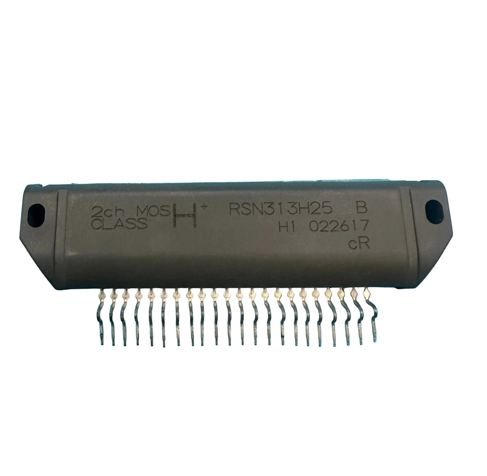 RSN313H25  AUDIO IC