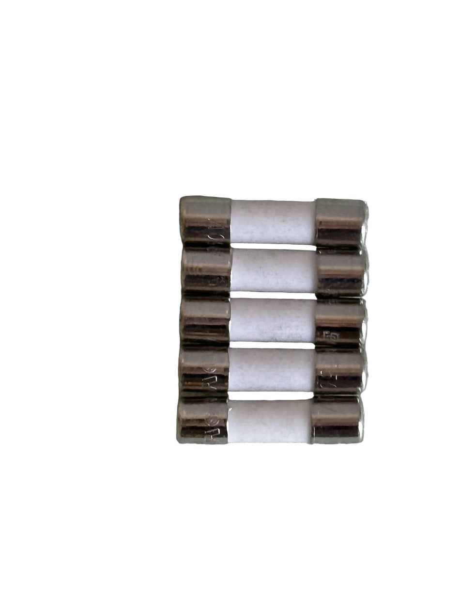 5PCS GMA 2.5A 250V  FUSE